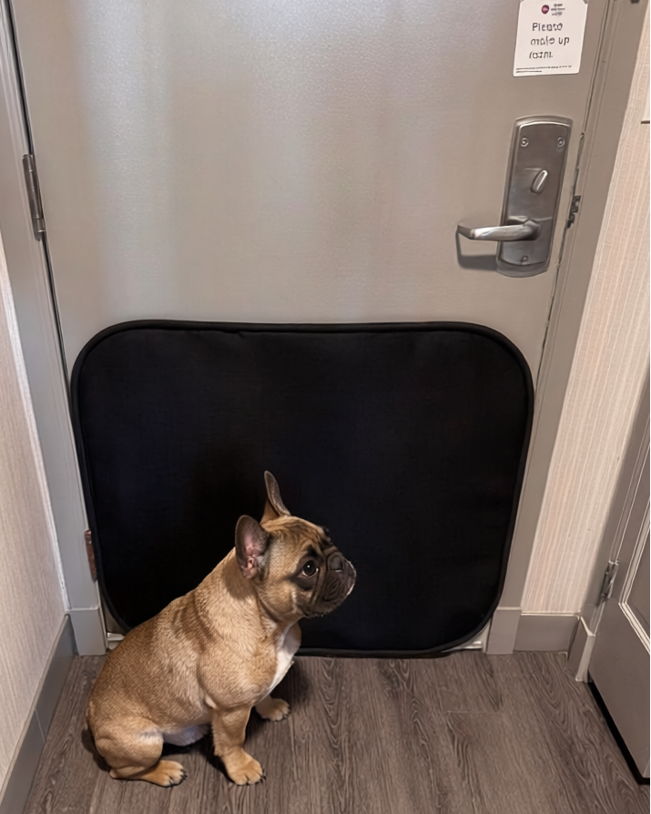 French bulldog sitting in front of Clawstopper dog door scratch protector installed on hotel door
